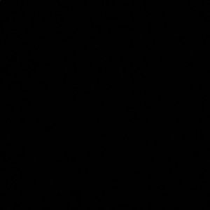 Meet your Posher, Mia